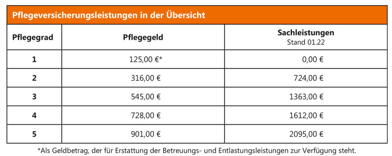 Pflegeversicherungsleistungen 22